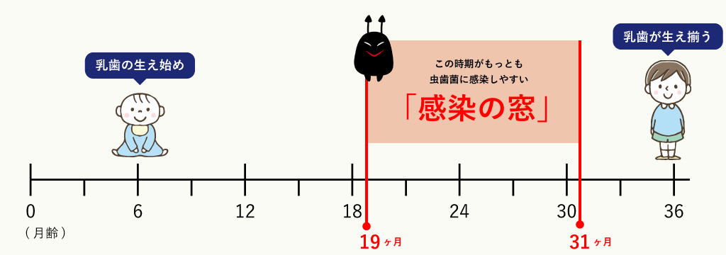 赤ちゃんは虫歯菌を持っていない 感染経路や予防方法は 東戸塚の歯医者 Ocean S Dental Clinic